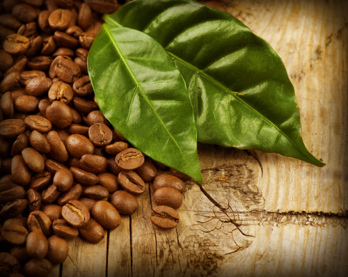 Grains of coffee with leaves Stock Photo  (3)