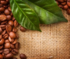 Grains of coffee with leaves Stock Photo  (4)