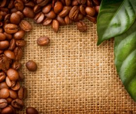 Grains of coffee with leaves Stock Photo  (5)