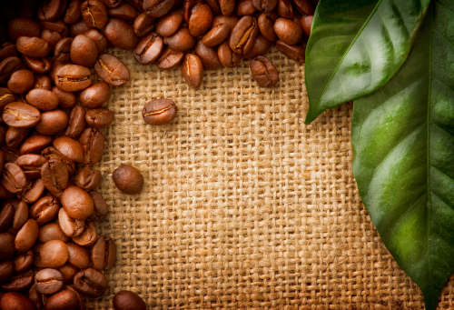 Grains of coffee with leaves Stock Photo  (5)