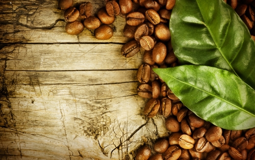 Grains of coffee with leaves Stock Photo  (6)