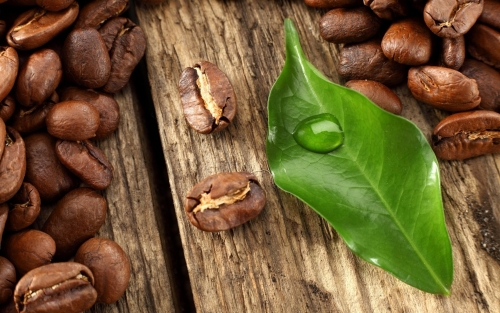 Grains of coffee with leaves Stock Photo  (7)