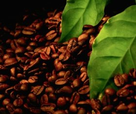Grains of coffee with leaves Stock Photo  (8)