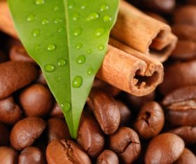 Grains of coffee with leaves Stock Photo  (9)