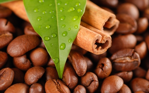 Grains of coffee with leaves Stock Photo  (9)