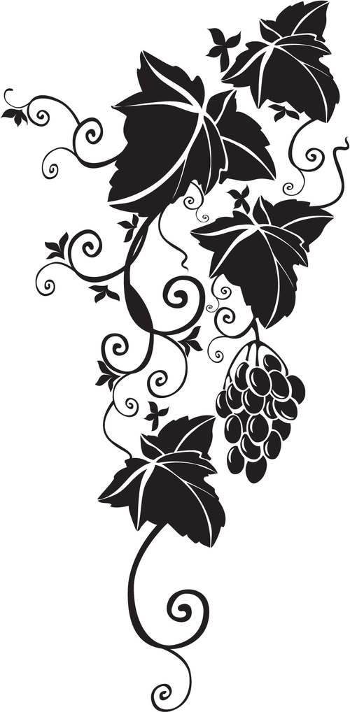 Grapes with leaves silhouette vector