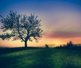 Green grass hill at sunrise Stock Photo