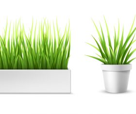 Green grass with flower pot vector