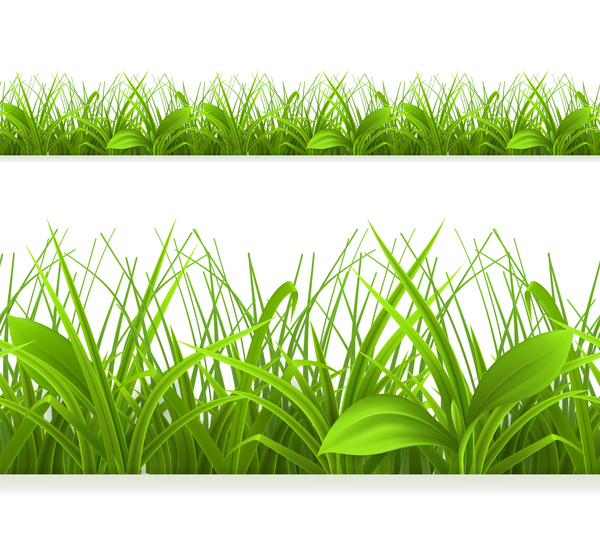 Green grass with leaves vector illustration 01