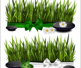 Green grass with spa vector