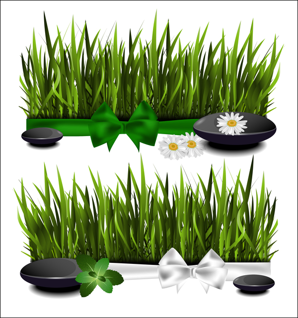 Green grass with spa vector