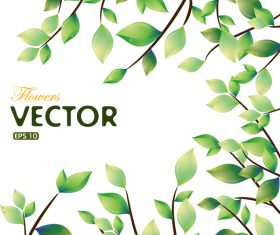 Green leaves spring vector background