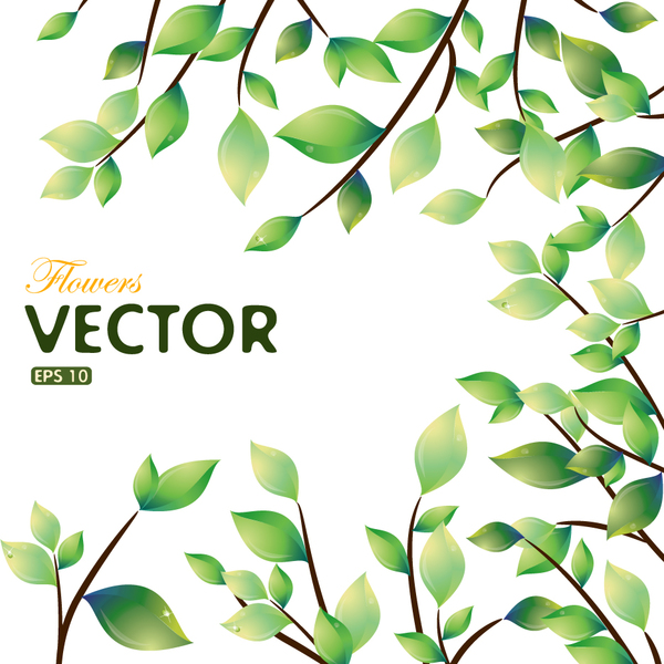 Green leaves spring vector background