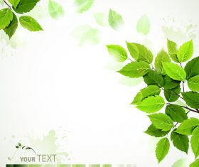 Green leaves with blurred background vector 01