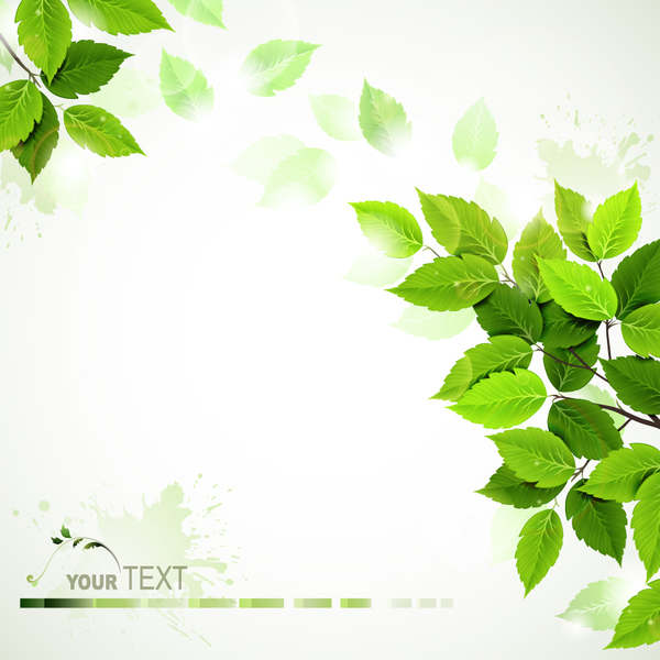 Green leaves with blurred background vector 01