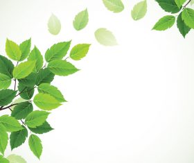 Green leaves with blurred background vector 02