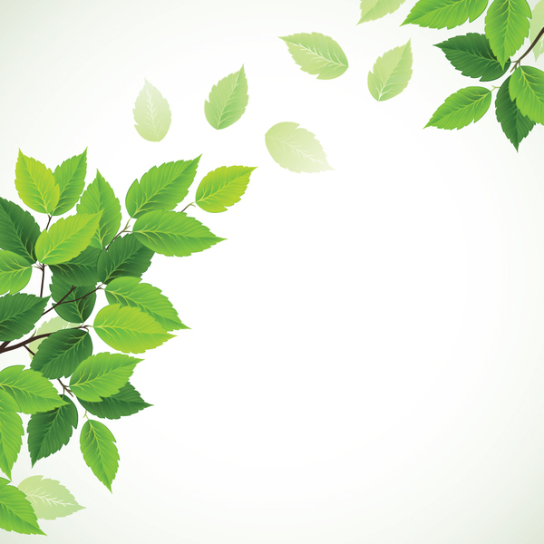 Green leaves with blurred background vector 02