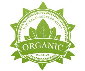 Green organic label design vector