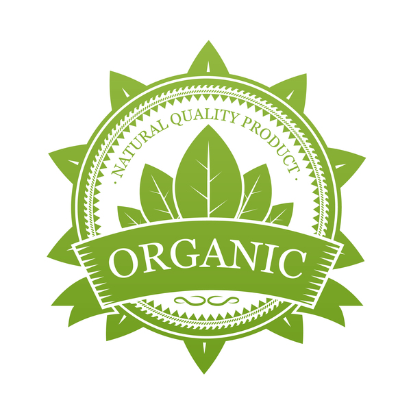 Green organic label design vector