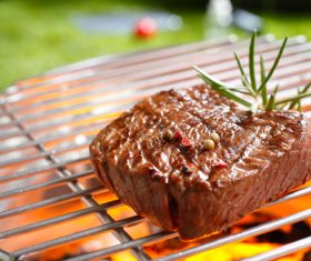Grilled meat Stock Photo 02