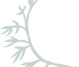 Hand drawn Herb vector illustration 01