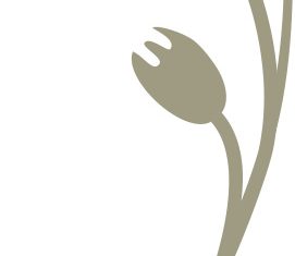 Hand drawn Herb vector illustration 03