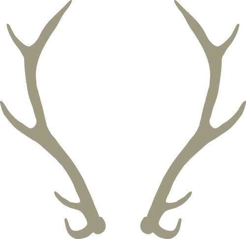 Hand drawn antlers vectors material