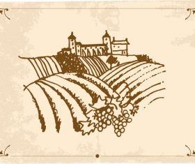 Hand drawn vineyard vector 02
