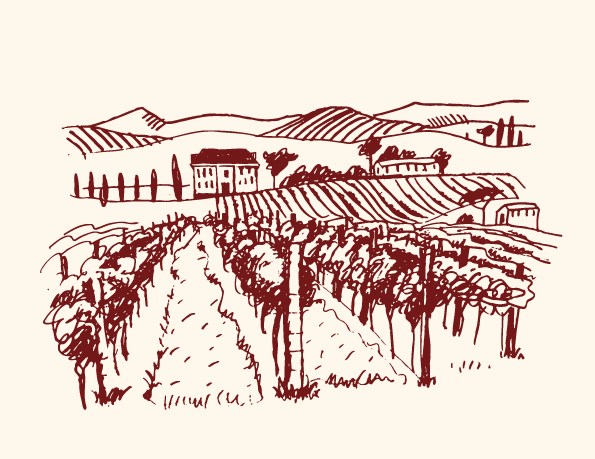Hand drawn vineyard vector 03