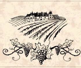 Hand drawn vineyard vector 04