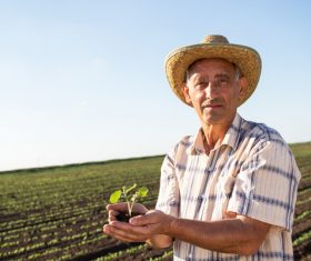 Hand holding seedlings of farmers Stock Photo 03