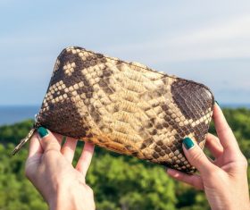High-end ladies brand wallet Stock Photo