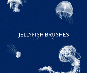 Jellyfish Photoshop Brushes