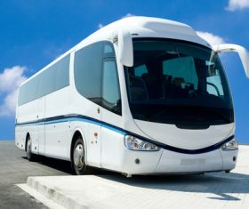 Large buses Stock Photo 01