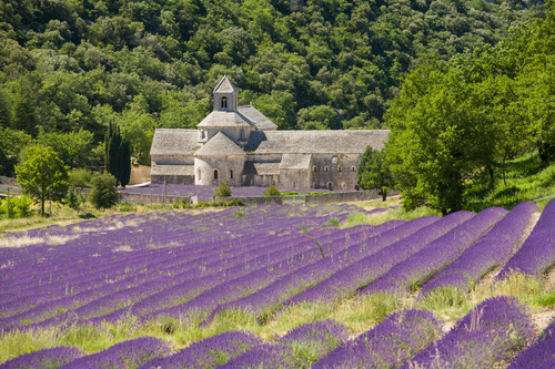 Lavender Town Provence Stock Photo 02