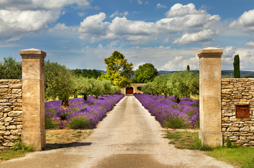Lavender Town Provence Stock Photo 03