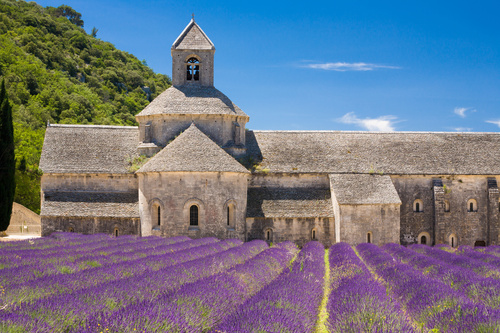Lavender Town Provence Stock Photo 05