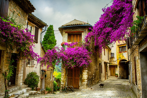 Lavender Town Provence Stock Photo 06