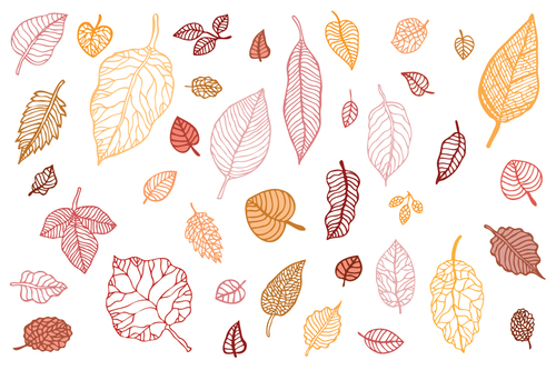 Leaves autumn illustration vector set