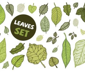 Leaves spring illustration vector set