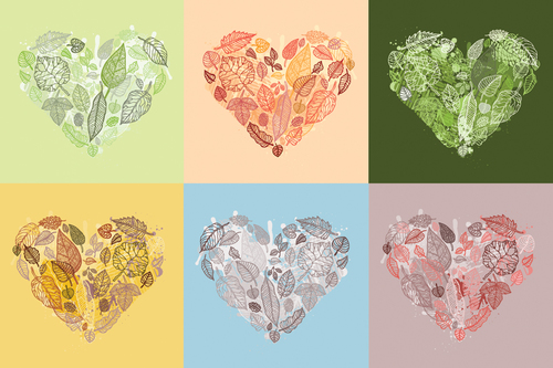 Leaves with heart illustration vector