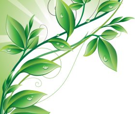 Leaves with water drip vector