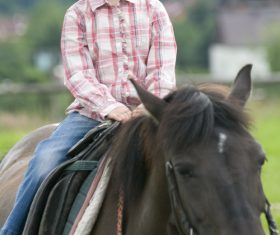 Little girl riding a horse Stock Photo