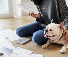 Look bills woman and pet dog Stock Photo