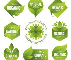 Natural with organic labels design vector