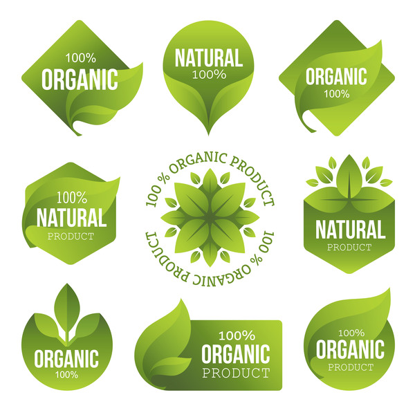 Natural with organic labels design vector