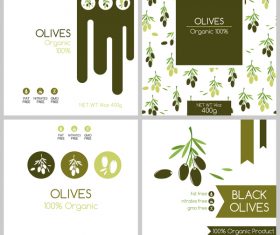 Olives package box template vector
