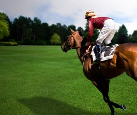 Racehorse rider Stock Photo