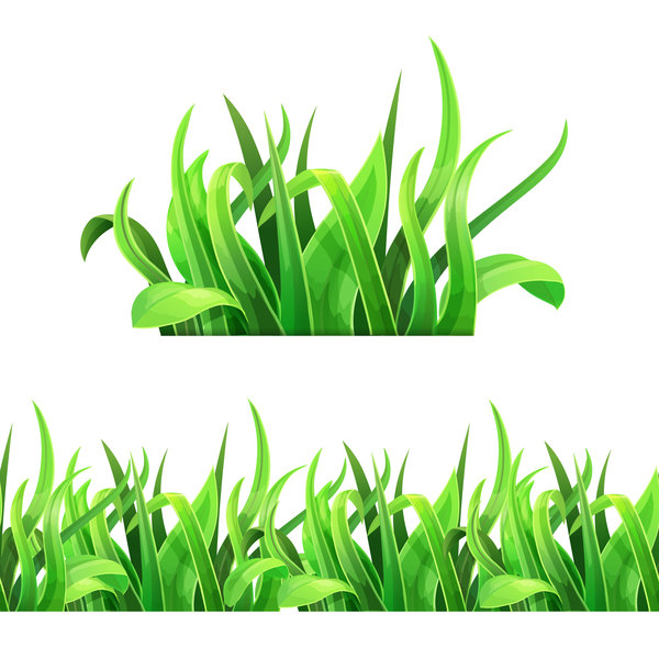 Realistic grass illustration vector material 06
