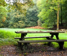 Resting picnic table in the forest Stock Photo 01